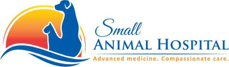 Vet Clinic in Fort Myers, FL & Edison Park, FL | Animal Hospital