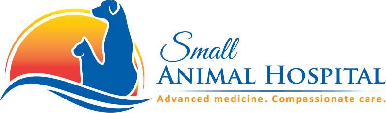Small Animal Hospital