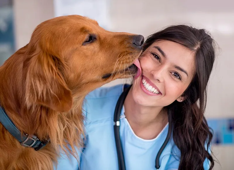 Dog giving a kiss to the vet